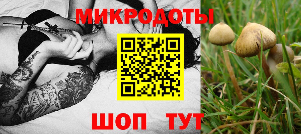 Галлюциногенные грибы MAGIC MUSHROOMS Майкоп